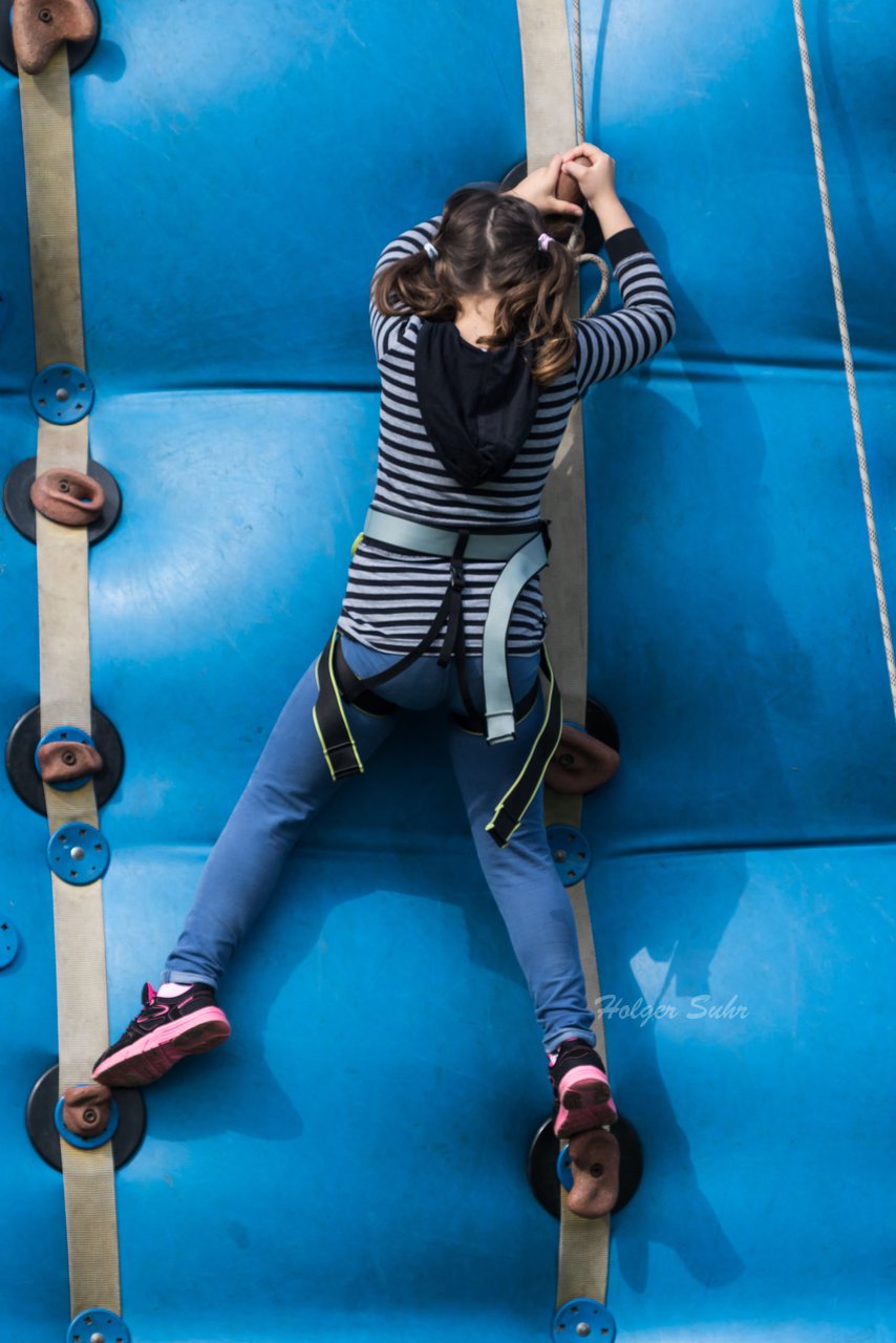 Bild 368 - Vogelschiessen